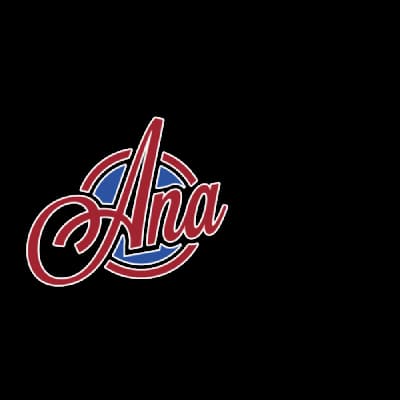 Associação Nacional de Airsoft