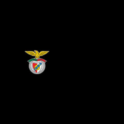 Fundação Benfica